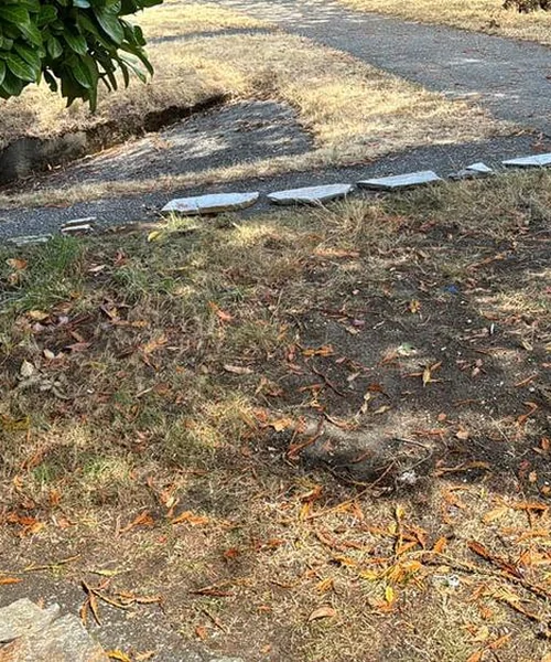 Landscaping Maintenance in Snohomish County 
